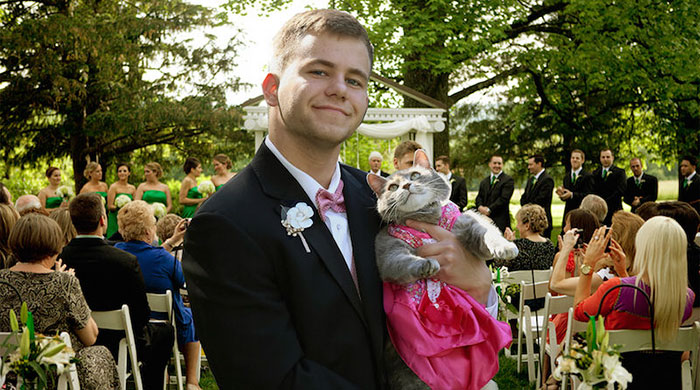 guy-takes-cat-prom-ruby-sam-steingard-3