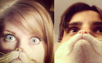 Cat Beards Are The New Rage, And It's Awesome!