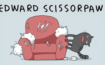 The 12 Types Of Cats, Which One Is Yours?