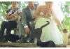 Canadian Couple Celebrates Their Wedding with 1,100 Cats….Wow!