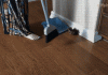 Cleaning up after a caturday party