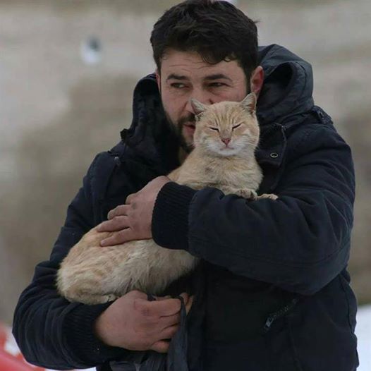 aleppo-cat-07