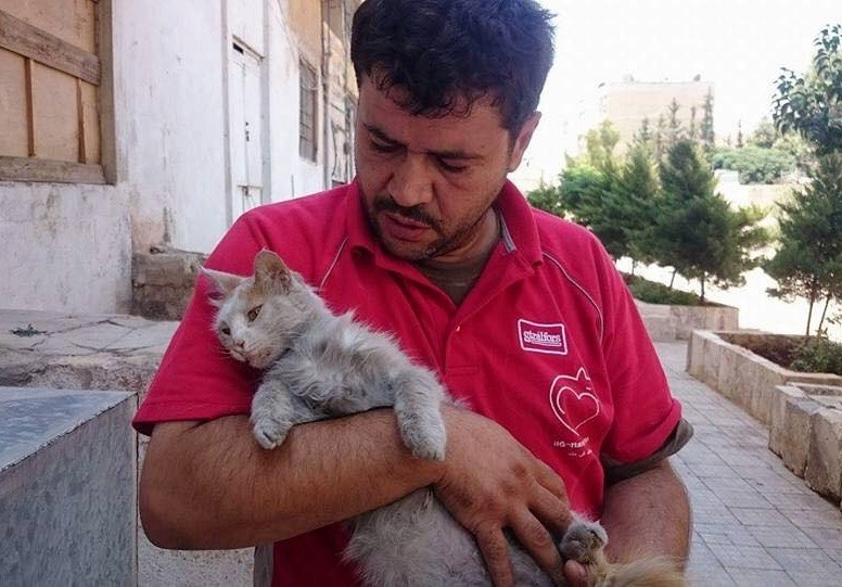 aleppo-cat-man-01