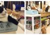 Business In Japan Staffed By Cats, And A Cat Is The Store Manager