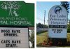 16 Vet Signs That Show They Have A Great Sense Of Humor About Cats And Their Friends…