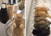 "12 Cats Lady" Is Exploding Instagram With Her Twelve Persians