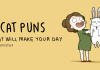 8 Cat Puns That Will Make Your Day