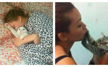 19 Cats That Are Completely Over The Cuddling Thing….