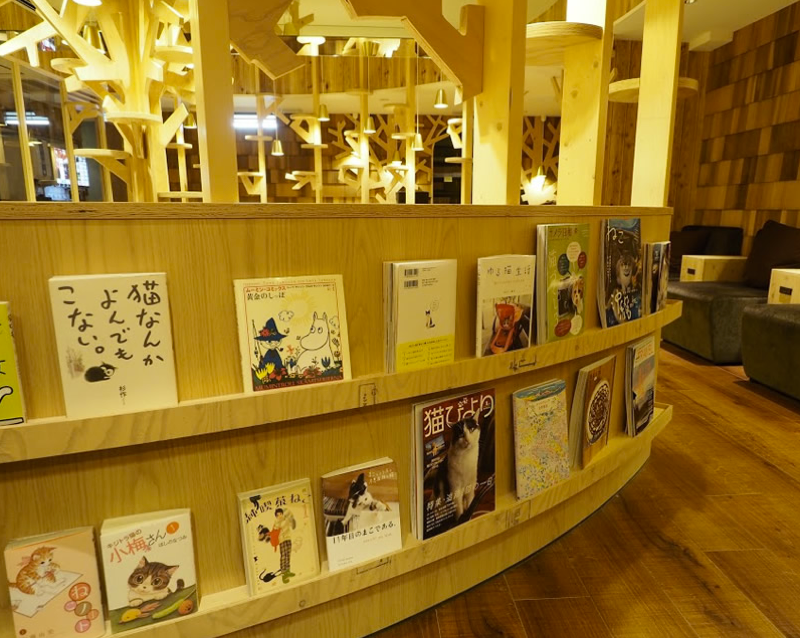 cat-cafe-japan-19