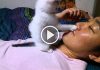 Tiny Kitten Playing With His Human Daddy
