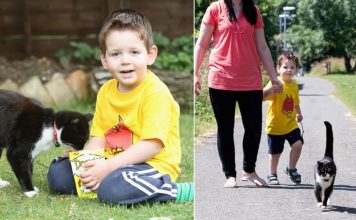 Concerned Kitten Walks Young Boy to School Every Day to Help Him Overcome Anxiety