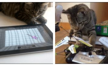 15 Gifs That Prove Cats Can’t Compete With Technology…Ever