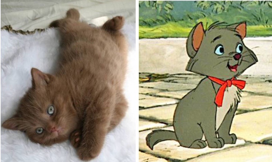 disney-cats-doppelganger-07