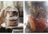 13 Cats That Prove Cats Mean Business When It Comes To Food