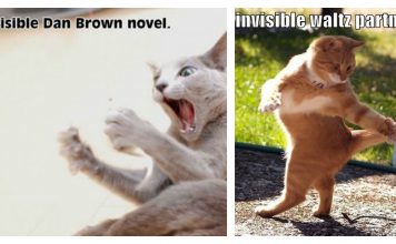 25 Cats That Have A Preference Of Doing Everything, The Invisible Way…