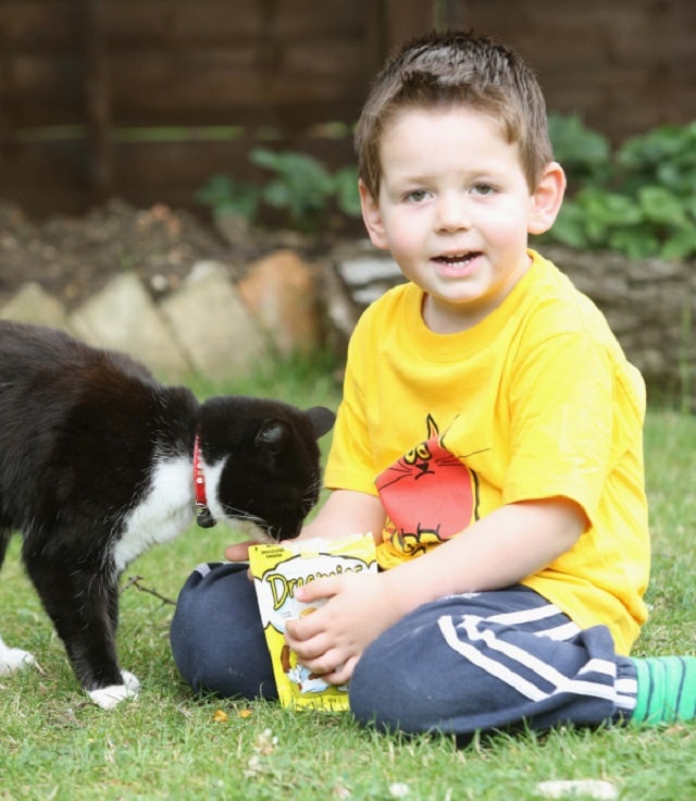 kitten-walks-boy-to-school-1