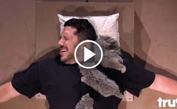 Sal, Who Is Deathly Afraid Of Cats, Is Tied Down By His Friends And Covered With Kitties