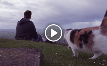 Blind Cat Who Loves Hiking Turned This Man Into A Cat Person