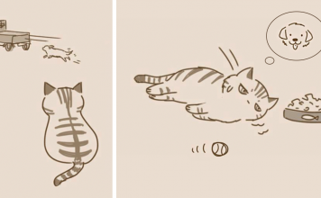 Cat Comic With Unexpected Ending Shows The Other Side Of Cats