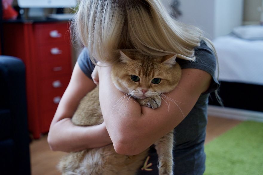 Hosico-Puss-In-Boots-10