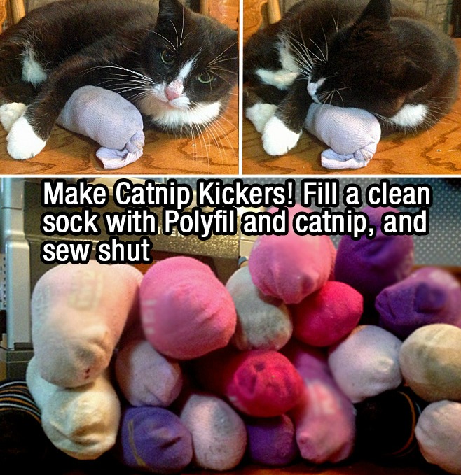 cat-hacks-09