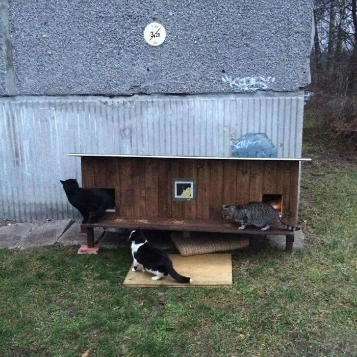 cat-tiny-homes-02