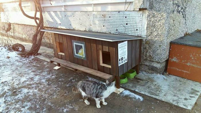 cat-tiny-homes-06