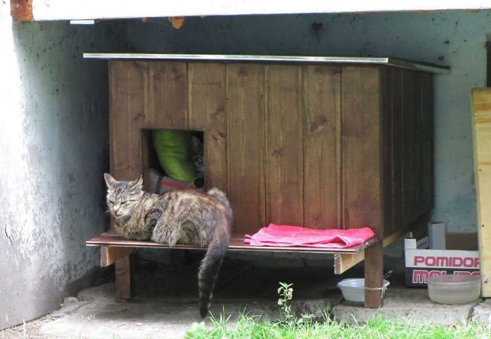 cat-tiny-homes-07