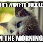 first-cat-probs-feature