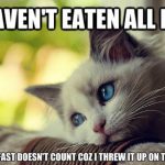 first-world-prob-cat-07