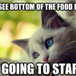 first-world-prob-cat-08