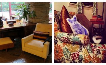 What Life Before And After Cats Is Really Like…