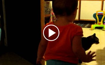 Father Captures Adorable Morning Routine Between His Daughter And Cat