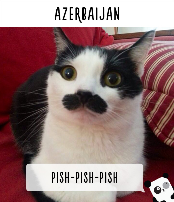 cat-world-names-24