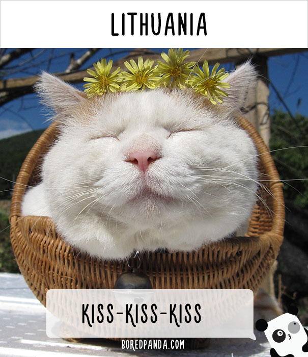 world-cat-names-02