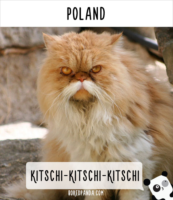 world-cat-names-04