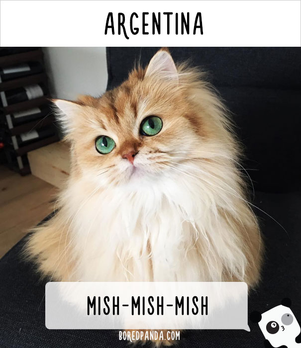 world-cat-names-07