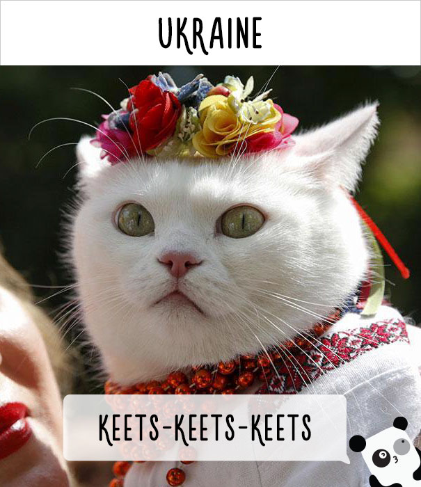 world-cat-names-10