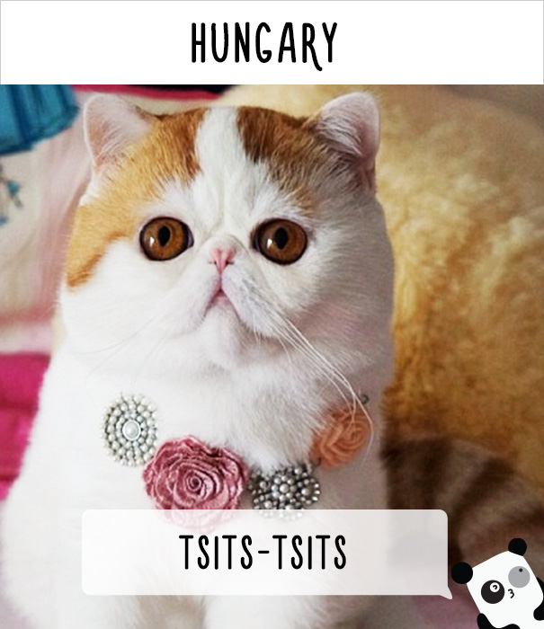 world-cat-names-11