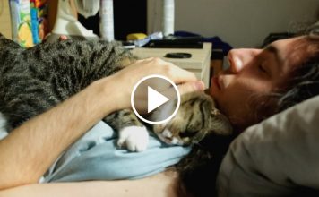 A Man and His Rescue Cat’s Morning Routine