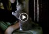 This Cute Kitten Asks Mommy For A Kiss Before Taking A Nap!