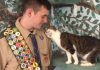 Amazing Boy Scouts Project: Upgrades For Shy Shelter Kitties Room