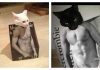 10 Cats In Abercrombie Bags