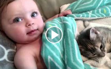 The Cutest Video Ever, Baby Girl and Her Kitten Friend!