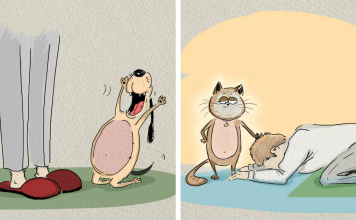 Cats Vs Dogs: 6 Differences Illustrated By Bird Born