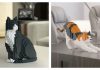 Cat Legos Are Here, And They Are Perfect For Cat Lovers