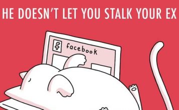 The Must Have Animal, Right After A Break Up Is A Cat