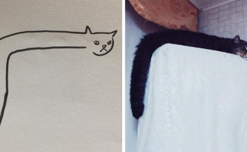 When Your Teacher Says You Can’t Draw Cats, But Your Paintings Are Photorealistic (20+ Photos)