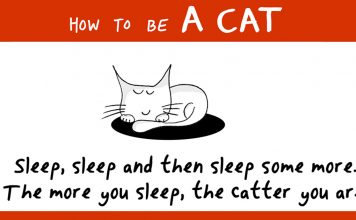 20+ Illustrations On How To Be A Cat!