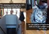 How Snapchat is The Perfect Tool To Capture A Cat's Silliness